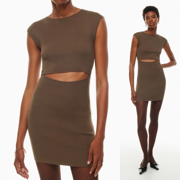 Aritzia Dresses & Skirts - Aritzia Wilfred Free Cutout Knit Mini Dress Brown